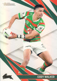 2024 NRL Traders - Pearl Silver - PS 117 - Cody Walker - South Sydney Rabbitohs