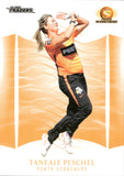 2023-24 Cricket Luxe Common - 126 - Taneale Peschel - Perth Scorchers