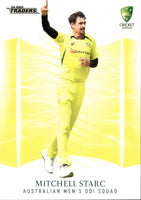 2023-24 Cricket Luxe Common - 016 - Mitchell Starc - Australia Men's ODI