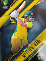 ASHES GOLD CARD #070 - MATTHEW WADE