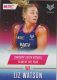 TEAM OF THE YEAR - 2018 SILVER Parallel Cards Team Set