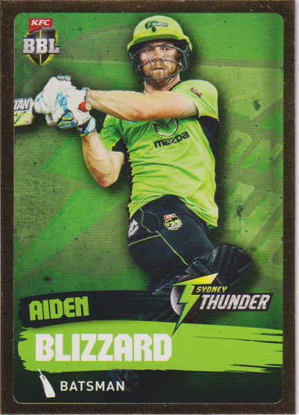 GOLD CARD #167 AIDEN BLIZZARD