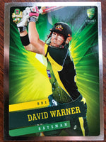 DAVID WARNER Silver Card #029