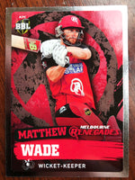 MATTHEW WADE Silver Card #118